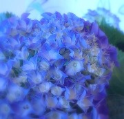 �����Ȥ��ޡ���