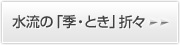 水流の「季・とき」折々